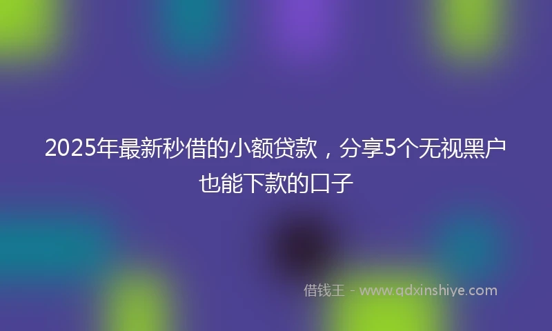 2025年最新秒借的小额贷款，分享5个无视黑户也能下款的口子