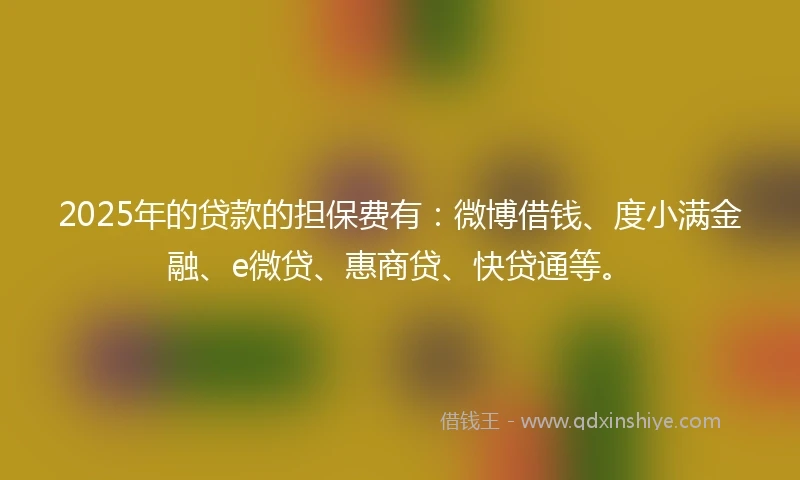 2025年的贷款的担保费有：微博借钱、度小满金融、e微贷、惠商贷、快贷通等。