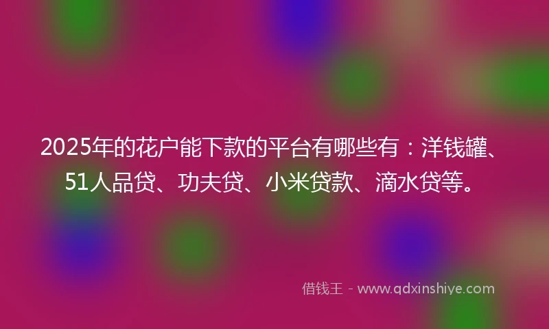2025年的花户能下款的平台有哪些有：洋钱罐、51人品贷、功夫贷、小米贷款、滴水贷等。
