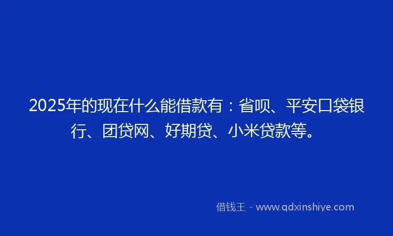 2025年的现在什么能借款有：省呗、平安口袋银行、团贷网、好期贷、小米贷款等。