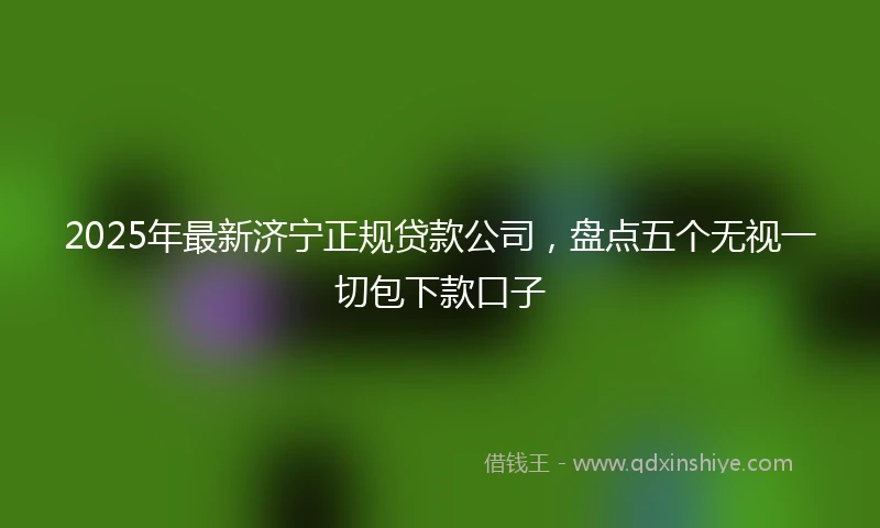 2025年最新济宁正规贷款公司，盘点五个无视一切包下款口子