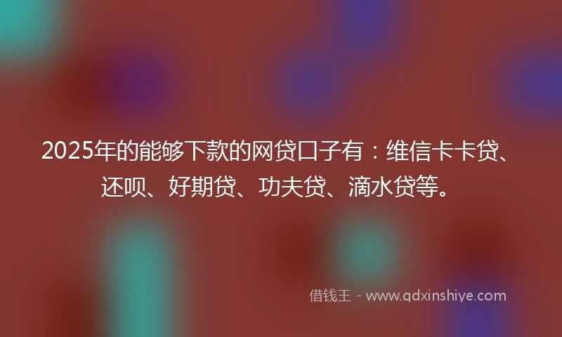 2025年的能够下款的网贷口子有：维信卡卡贷、还呗、好期贷、功夫贷、滴水贷等。
