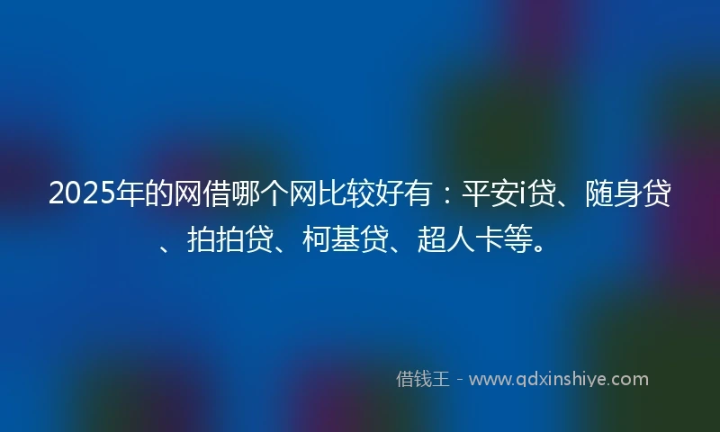2025年的网借哪个网比较好有：平安i贷、随身贷、拍拍贷、柯基贷、超人卡等。