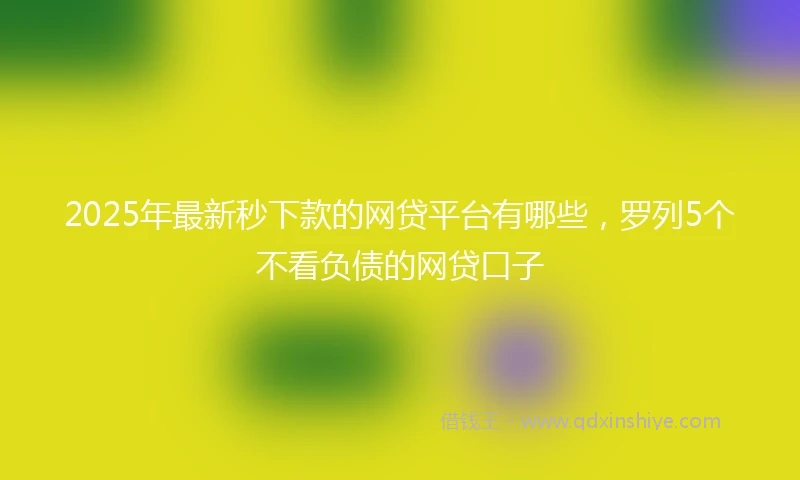 2025年最新秒下款的网贷平台有哪些，罗列5个不看负债的网贷口子