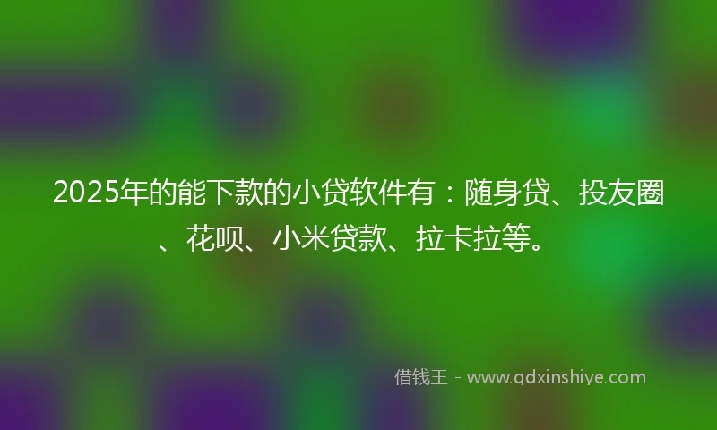 2025年的能下款的小贷软件有：随身贷、投友圈、花呗、小米贷款、拉卡拉等。