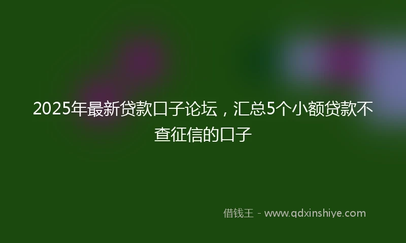 2025年最新贷款口子论坛，汇总5个小额贷款不查征信的口子