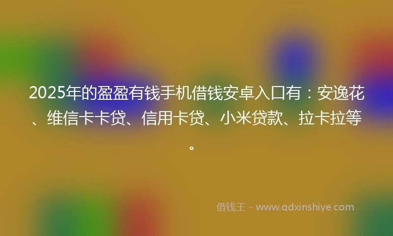 2025年的盈盈有钱手机借钱安卓入口有：安逸花、维信卡卡贷、信用卡贷、小米贷款、拉卡拉等。
