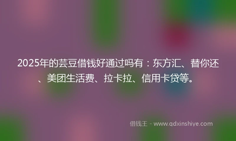 2025年的芸豆借钱好通过吗有：东方汇、替你还、美团生活费、拉卡拉、信用卡贷等。