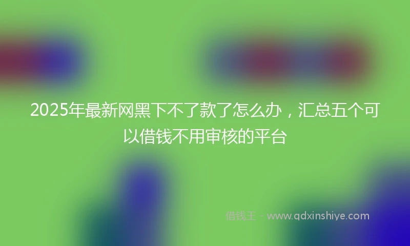 2025年最新网黑下不了款了怎么办，汇总五个可以借钱不用审核的平台