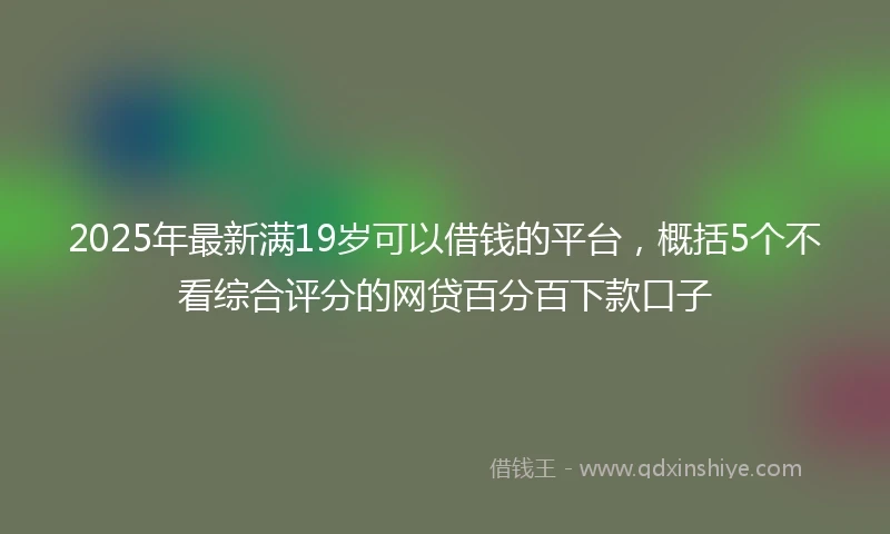 2025年最新满19岁可以借钱的平台，概括5个不看综合评分的网贷百分百下款口子