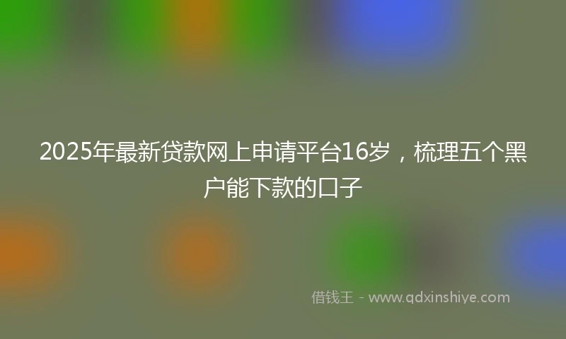 2025年最新贷款网上申请平台16岁，梳理五个黑户能下款的口子