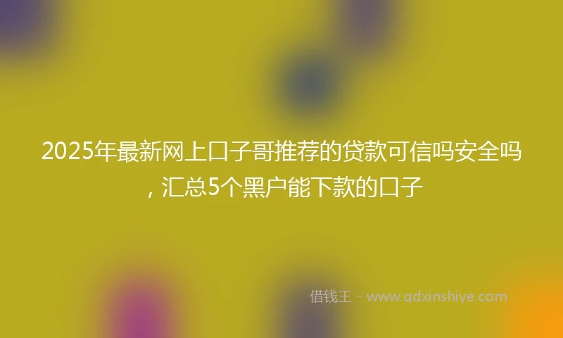 2025年最新网上口子哥推荐的贷款可信吗安全吗，汇总5个黑户能下款的口子
