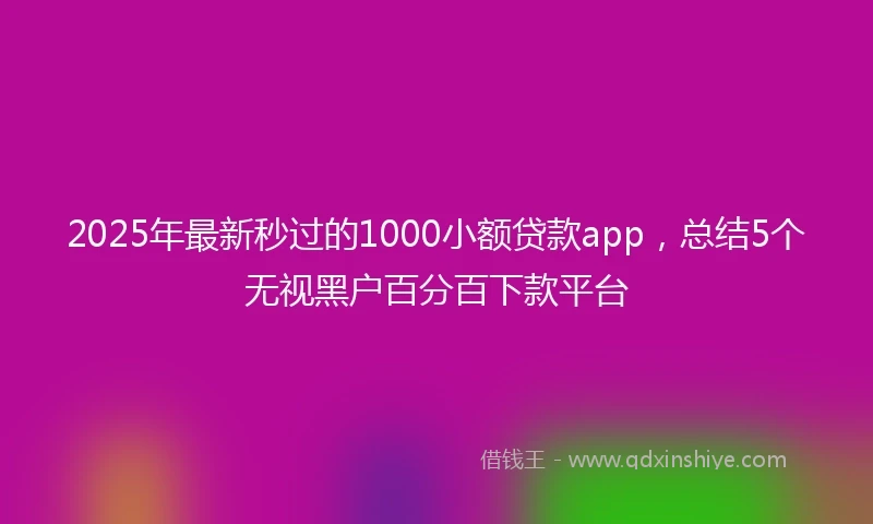 2025年最新秒过的1000小额贷款app，总结5个无视黑户百分百下款平台
