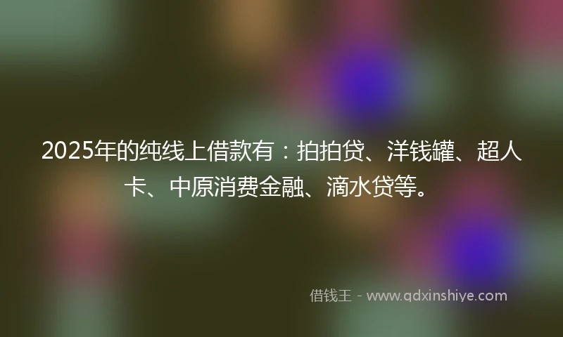 2025年的纯线上借款有：拍拍贷、洋钱罐、超人卡、中原消费金融、滴水贷等。
