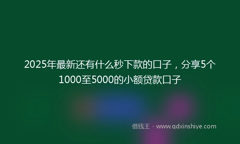 2025年最新还有什么秒下款的口子，分享5个1000至5000的小额贷款口子
