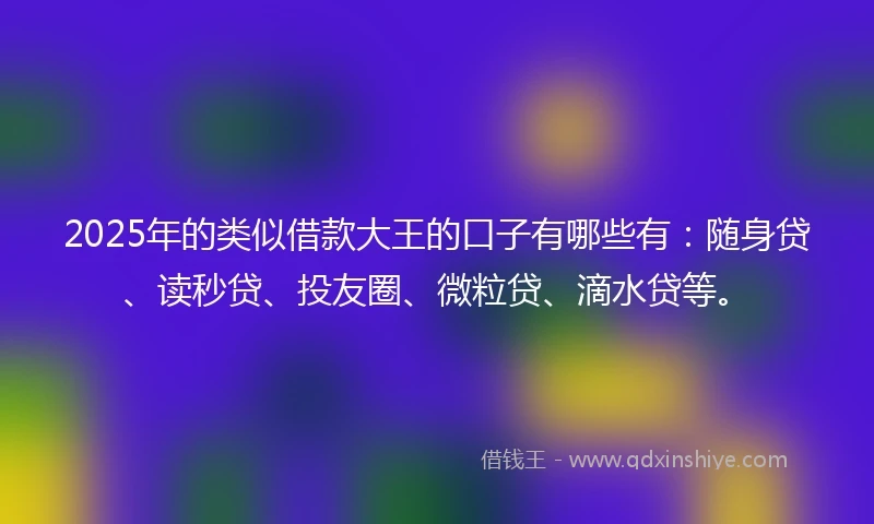 2025年的类似借款大王的口子有哪些有：随身贷、读秒贷、投友圈、微粒贷、滴水贷等。