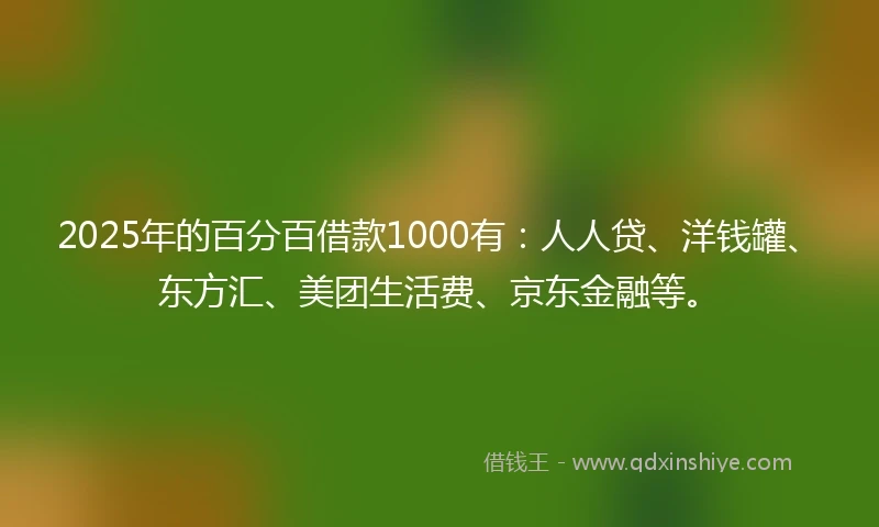 2025年的百分百借款1000有：人人贷、洋钱罐、东方汇、美团生活费、京东金融等。