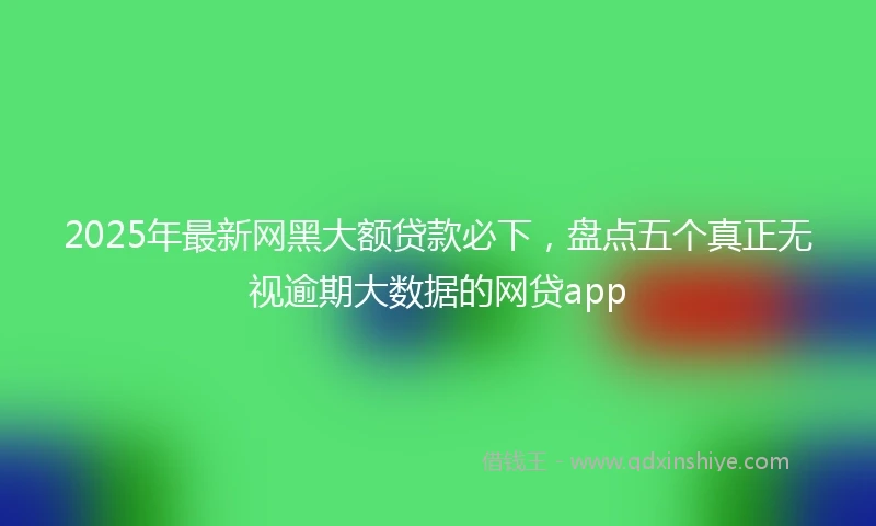 2025年最新网黑大额贷款必下，盘点五个真正无视逾期大数据的网贷app