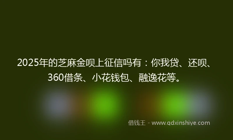 2025年的芝麻金呗上征信吗有：你我贷、还呗、360借条、小花钱包、融逸花等。