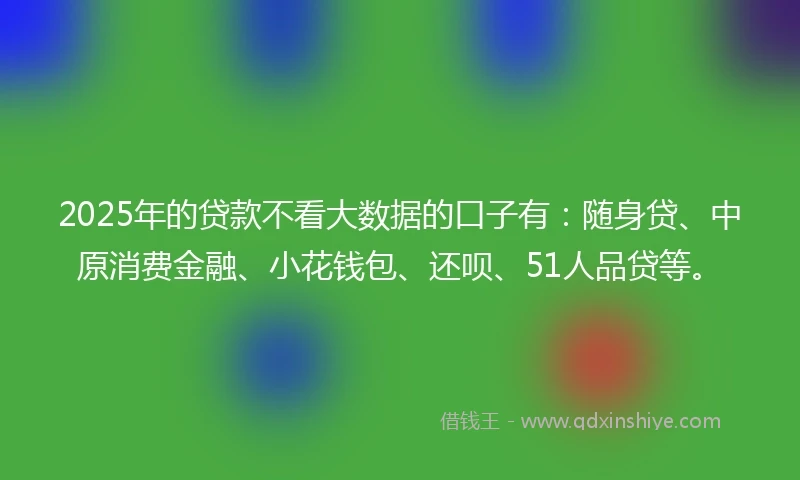 2025年的贷款不看大数据的口子有：随身贷、中原消费金融、小花钱包、还呗、51人品贷等。