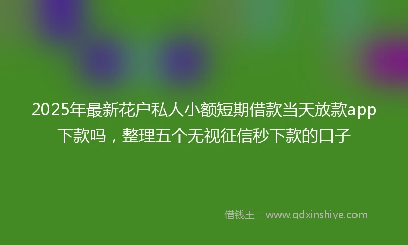 2025年最新花户私人小额短期借款当天放款app下款吗，整理五个无视征信秒下款的口子