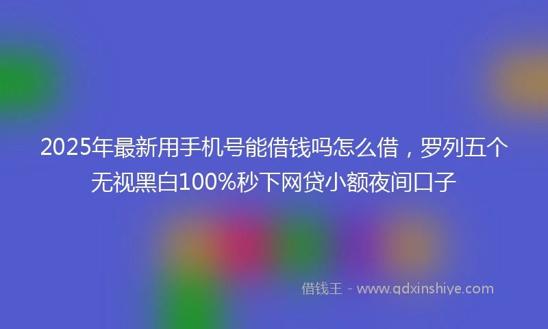 2025年最新用手机号能借钱吗怎么借，罗列五个无视黑白100%秒下网贷小额夜间口子