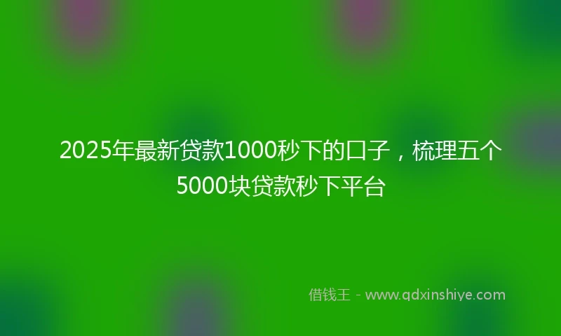 2025年最新贷款1000秒下的口子，梳理五个5000块贷款秒下平台