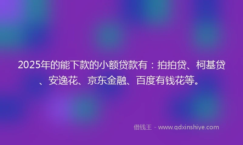 2025年的能下款的小额贷款有：拍拍贷、柯基贷、安逸花、京东金融、百度有钱花等。