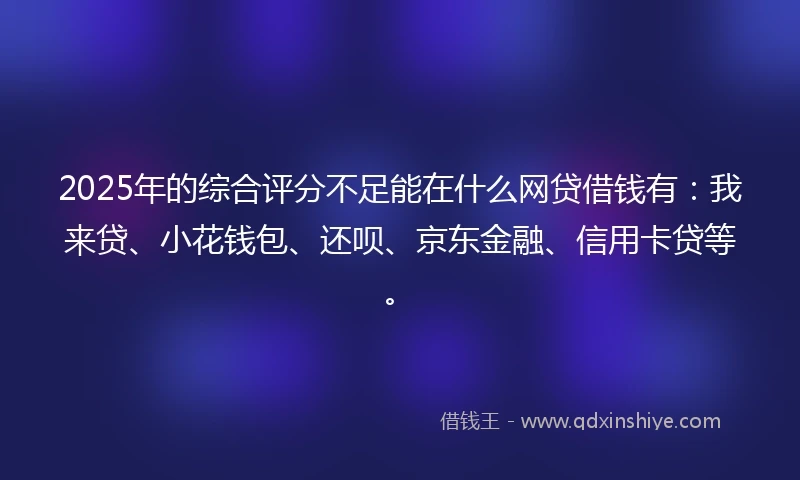 2025年的综合评分不足能在什么网贷借钱有：我来贷、小花钱包、还呗、京东金融、信用卡贷等。