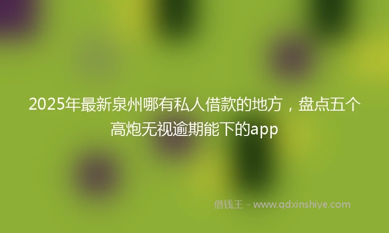 2025年最新泉州哪有私人借款的地方，盘点五个高炮无视逾期能下的app