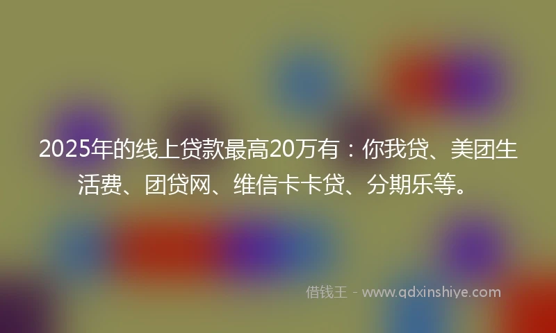 2025年的线上贷款最高20万有：你我贷、美团生活费、团贷网、维信卡卡贷、分期乐等。