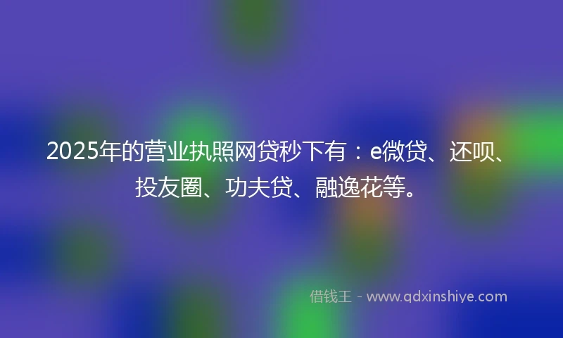 2025年的营业执照网贷秒下有：e微贷、还呗、投友圈、功夫贷、融逸花等。