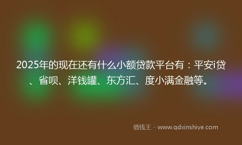 2025年的现在还有什么小额贷款平台有：平安i贷、省呗、洋钱罐、东方汇、度小满金融等。