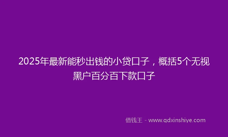 2025年最新能秒出钱的小贷口子，概括5个无视黑户百分百下款口子