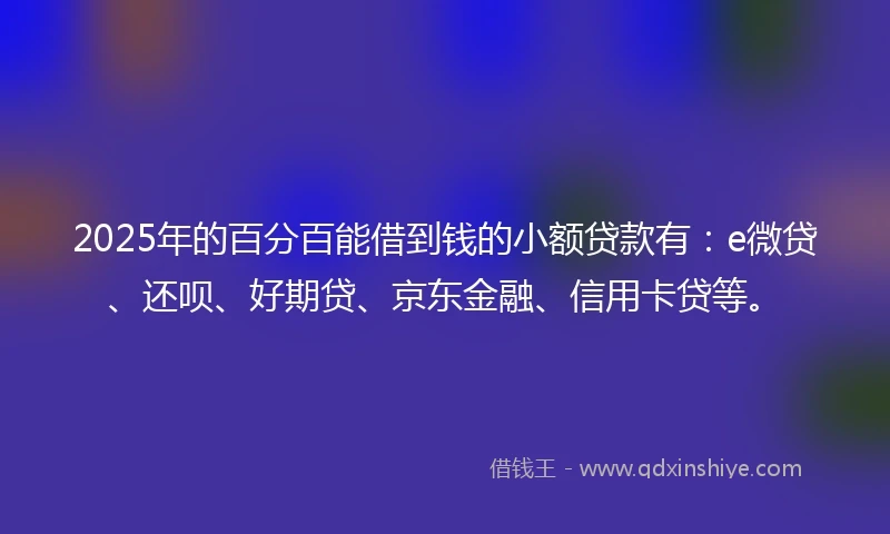 2025年的百分百能借到钱的小额贷款有：e微贷、还呗、好期贷、京东金融、信用卡贷等。