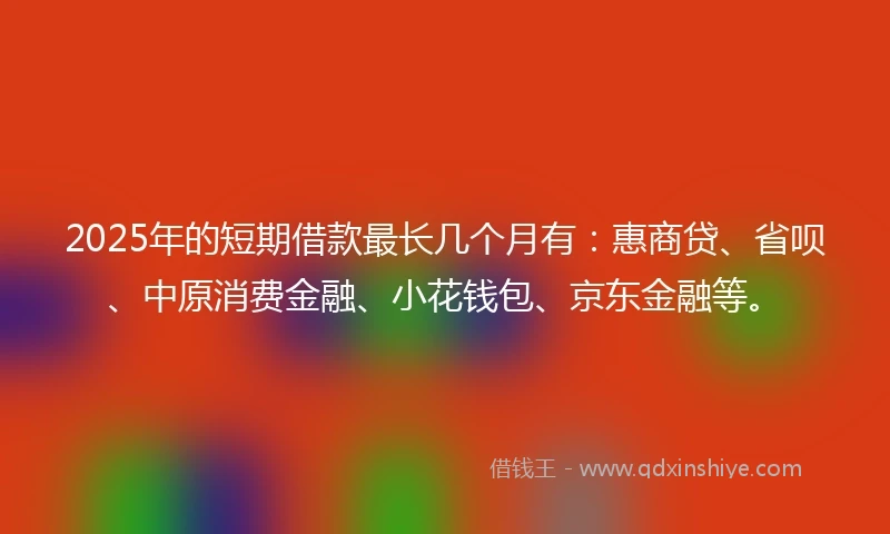 2025年的短期借款最长几个月有：惠商贷、省呗、中原消费金融、小花钱包、京东金融等。