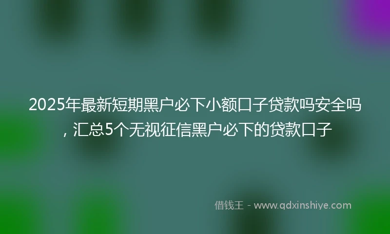 2025年最新短期黑户必下小额口子贷款吗安全吗，汇总5个无视征信黑户必下的贷款口子