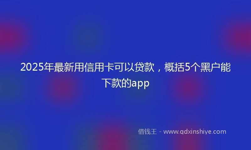 2025年最新用信用卡可以贷款，概括5个黑户能下款的app