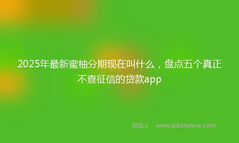 2025年最新蜜柚分期现在叫什么，盘点五个真正不查征信的贷款app
