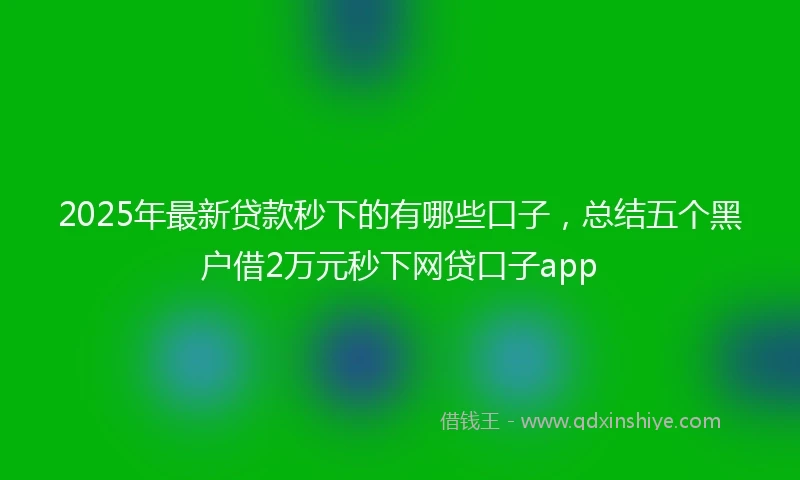 2025年最新贷款秒下的有哪些口子，总结五个黑户借2万元秒下网贷口子app