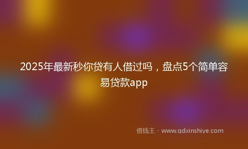 2025年最新秒你贷有人借过吗，盘点5个简单容易贷款app