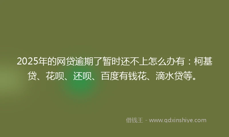 2025年的网贷逾期了暂时还不上怎么办有：柯基贷、花呗、还呗、百度有钱花、滴水贷等。