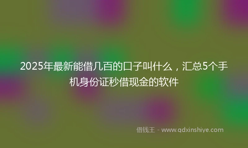 2025年最新能借几百的口子叫什么，汇总5个手机身份证秒借现金的软件