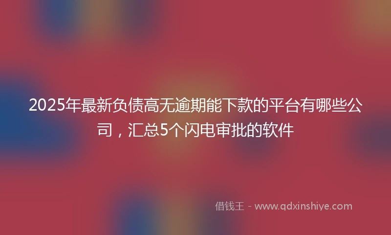 2025年最新负债高无逾期能下款的平台有哪些公司，汇总5个闪电审批的软件