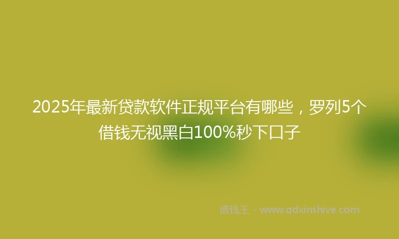 2025年最新贷款软件正规平台有哪些，罗列5个借钱无视黑白100%秒下口子