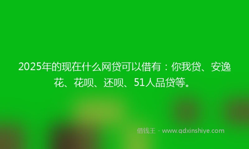 2025年的现在什么网贷可以借有：你我贷、安逸花、花呗、还呗、51人品贷等。