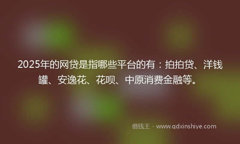 2025年的网贷是指哪些平台的有：拍拍贷、洋钱罐、安逸花、花呗、中原消费金融等。