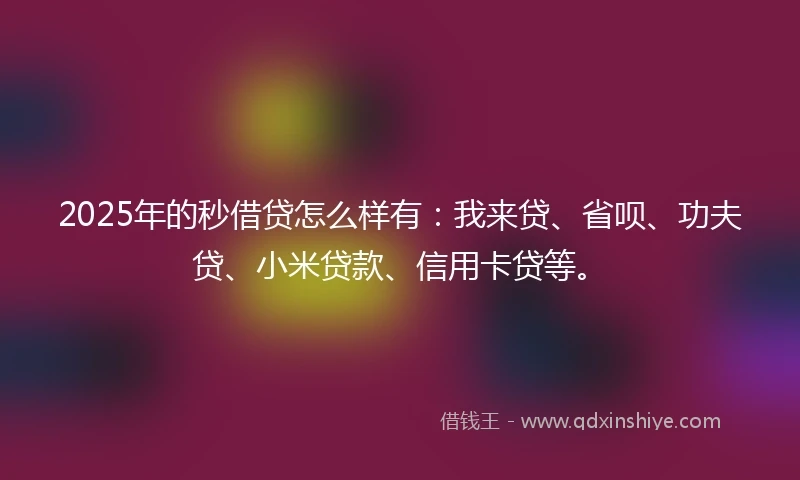 2025年的秒借贷怎么样有：我来贷、省呗、功夫贷、小米贷款、信用卡贷等。
