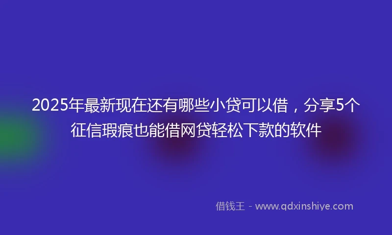 2025年最新现在还有哪些小贷可以借，分享5个征信瑕疵也能借网贷轻松下款的软件