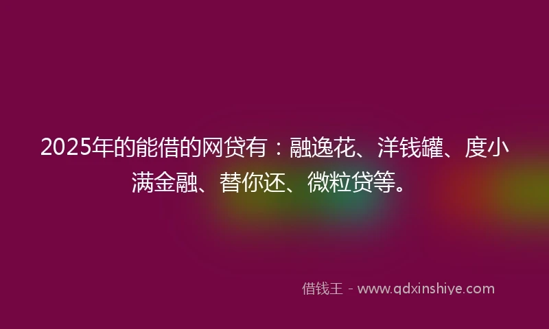 2025年的能借的网贷有：融逸花、洋钱罐、度小满金融、替你还、微粒贷等。